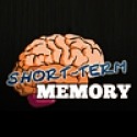 Short Term Memory