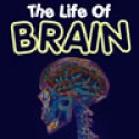 The life of Brain